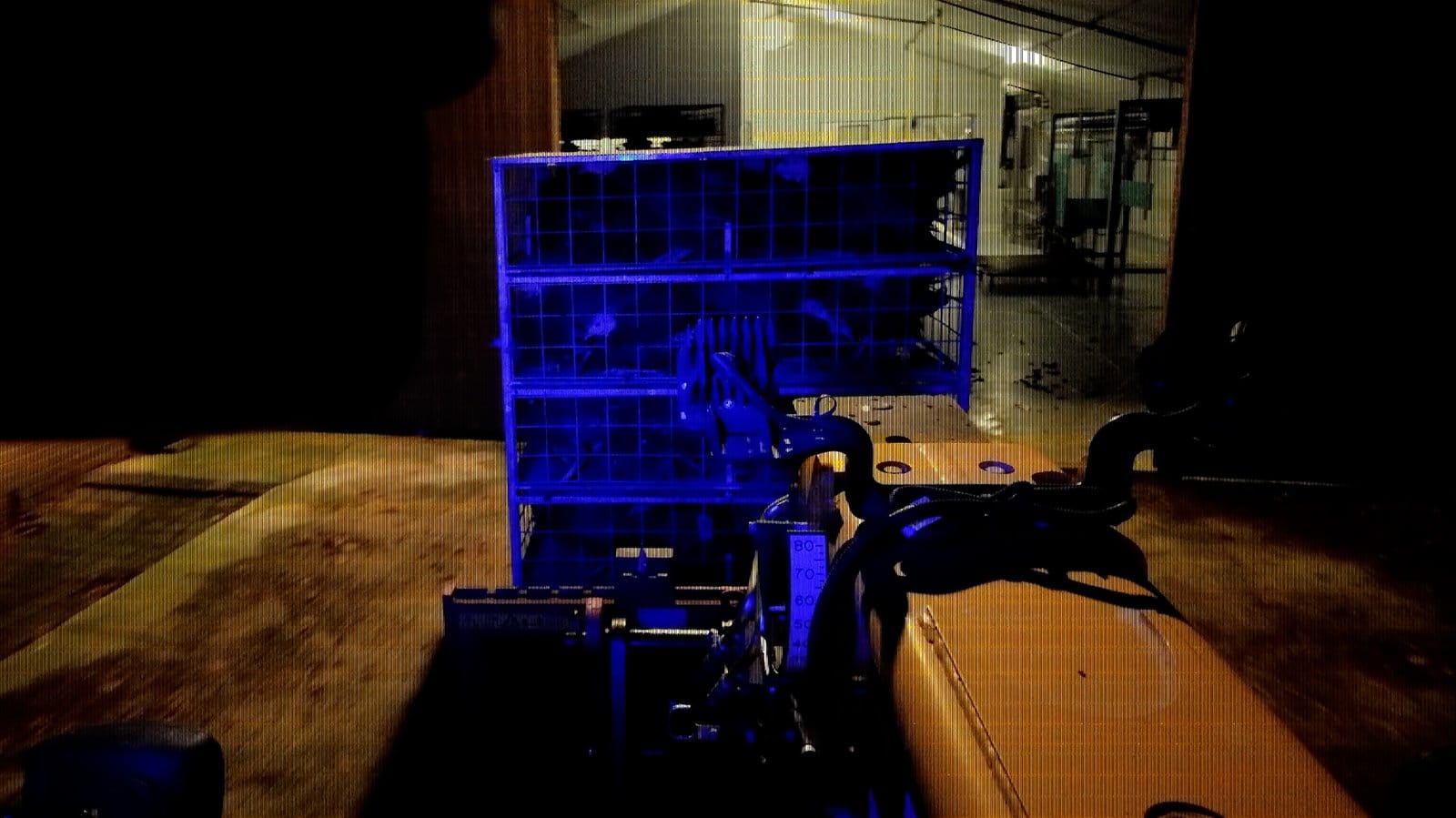 Beelden van vangen en slachten