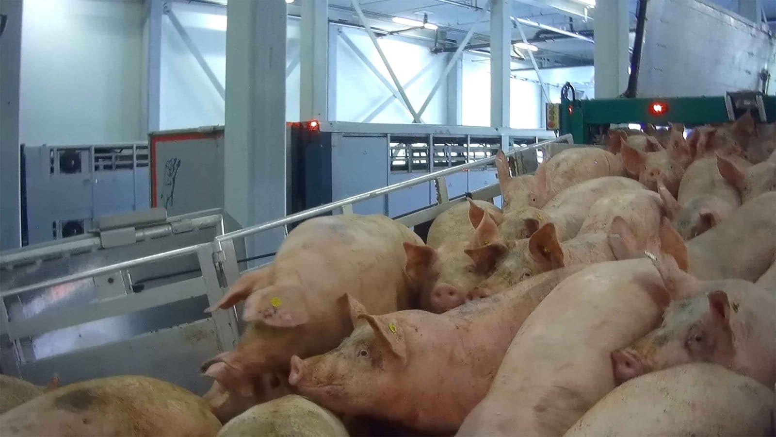 Stress en mishandeling