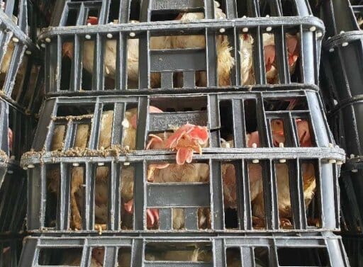 986fbc76-db15-46ad-9305-e2a15f67374f