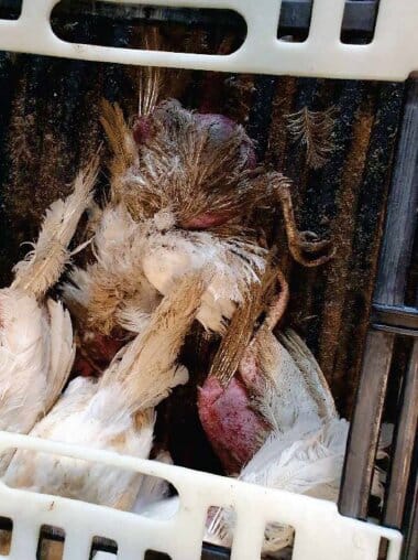 bfb33f16-ab01-4bc6-8216-2650be572890