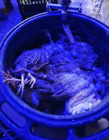 f127a07b-143e-428e-8519-64b72094f6ae